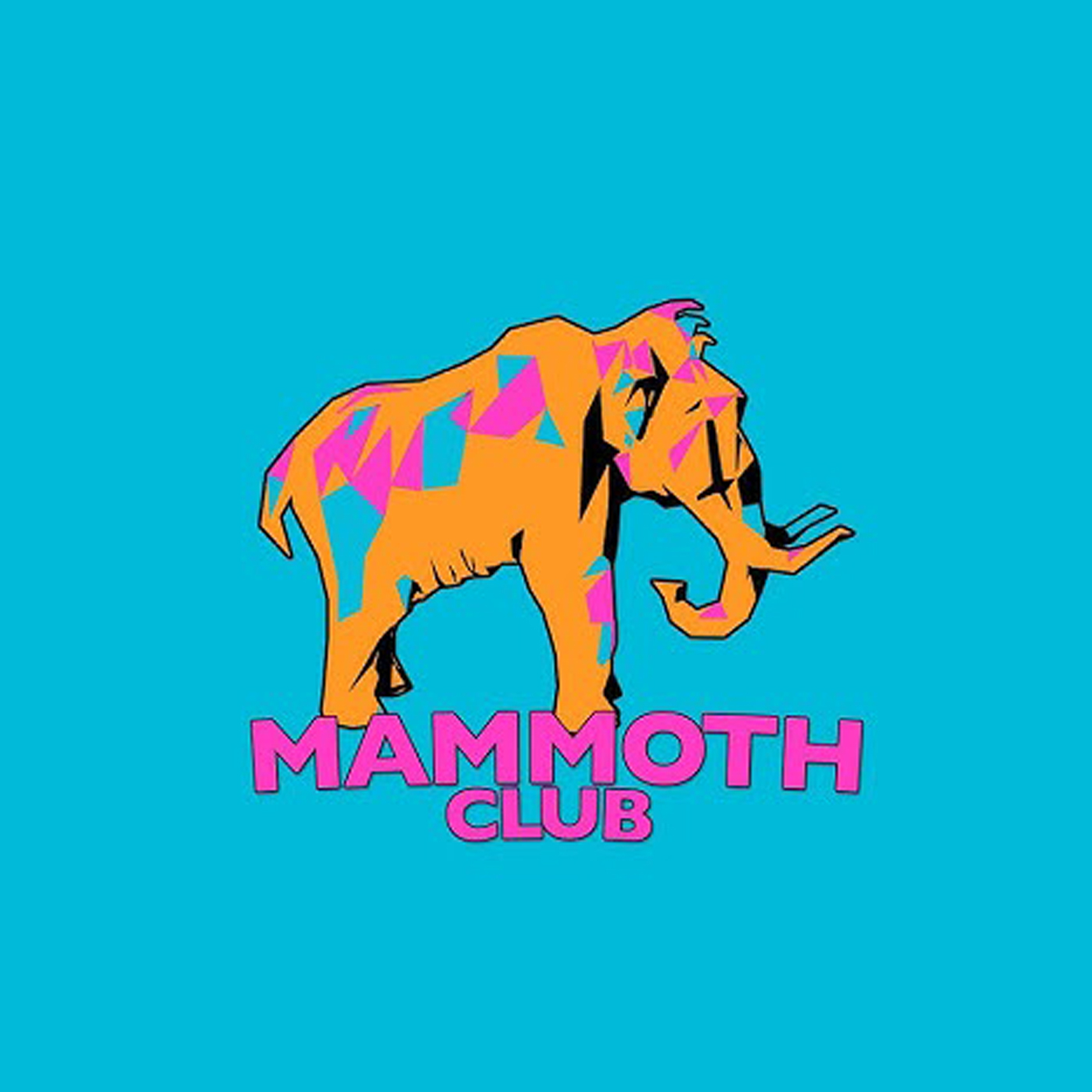 When should you name your business after yourself Mammoth Club - The Template Emporium