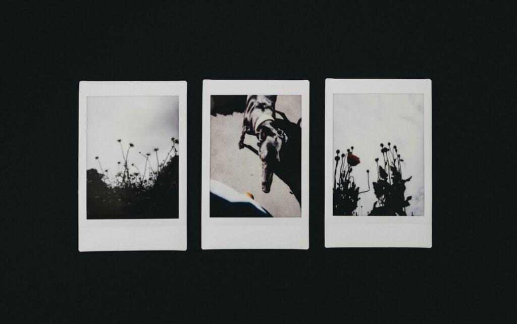 3 senses - Sight for your Mood Boards - The Temple Emporium.