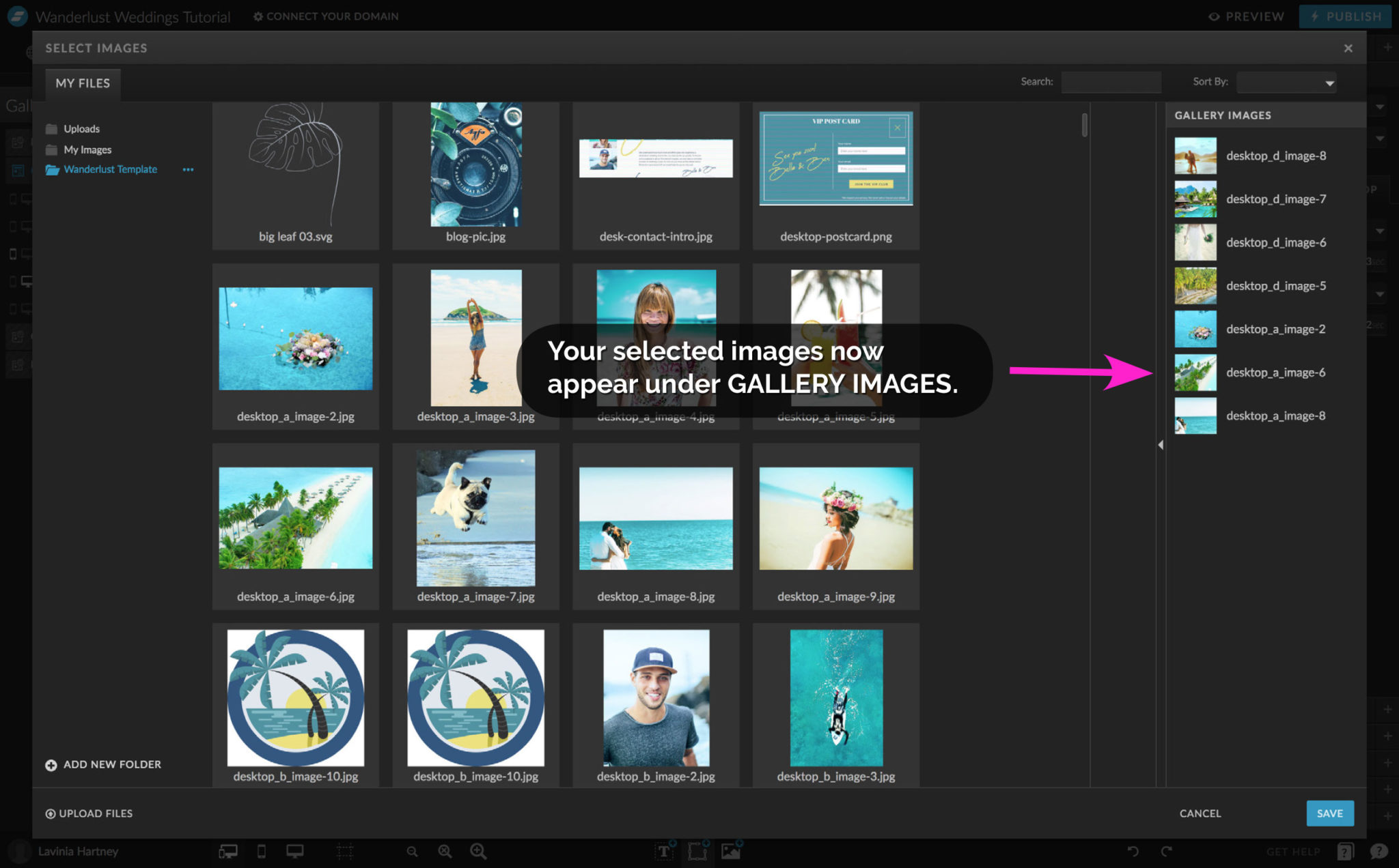 How to Update Images in Galleries & Canvas Views inside Showit