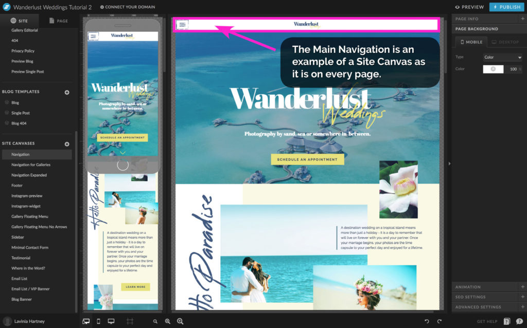 Site Canvases and the Main Navigation in Showit - The Template Emporium