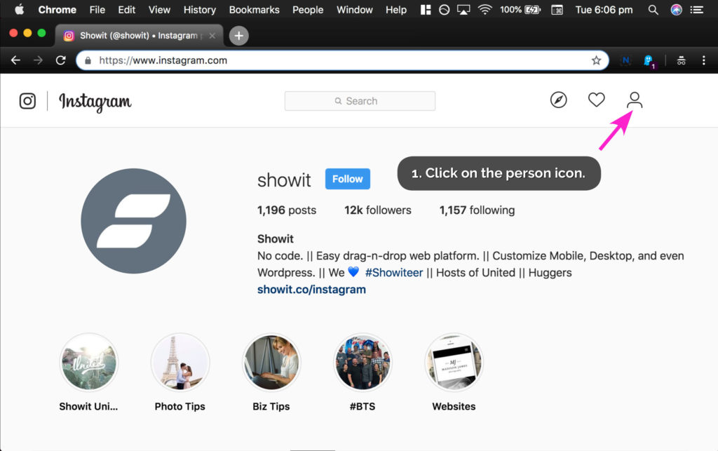 Showit's Instagram homepage and person icon - The Template Emporium