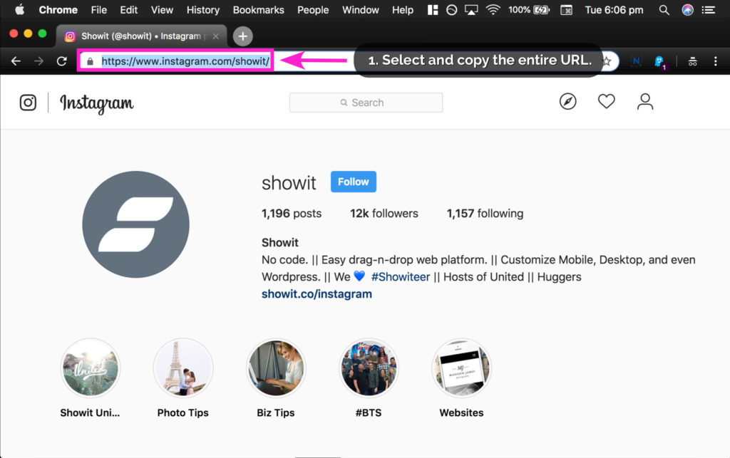 Selecting and copying the Instagram URL - The Template Emporium