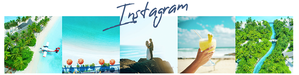Ways to personalise your Showit Template - Instagram Feed - The Template Emporium