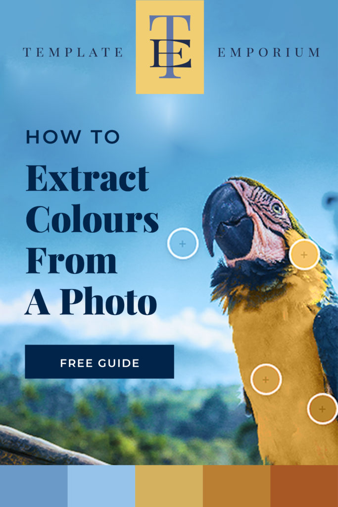 How to extract colours from a photo - The Template Emporium