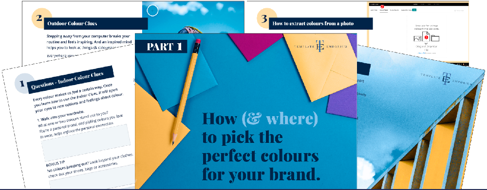 How to pick the perfect colours for your brand guide - The Template Emporium