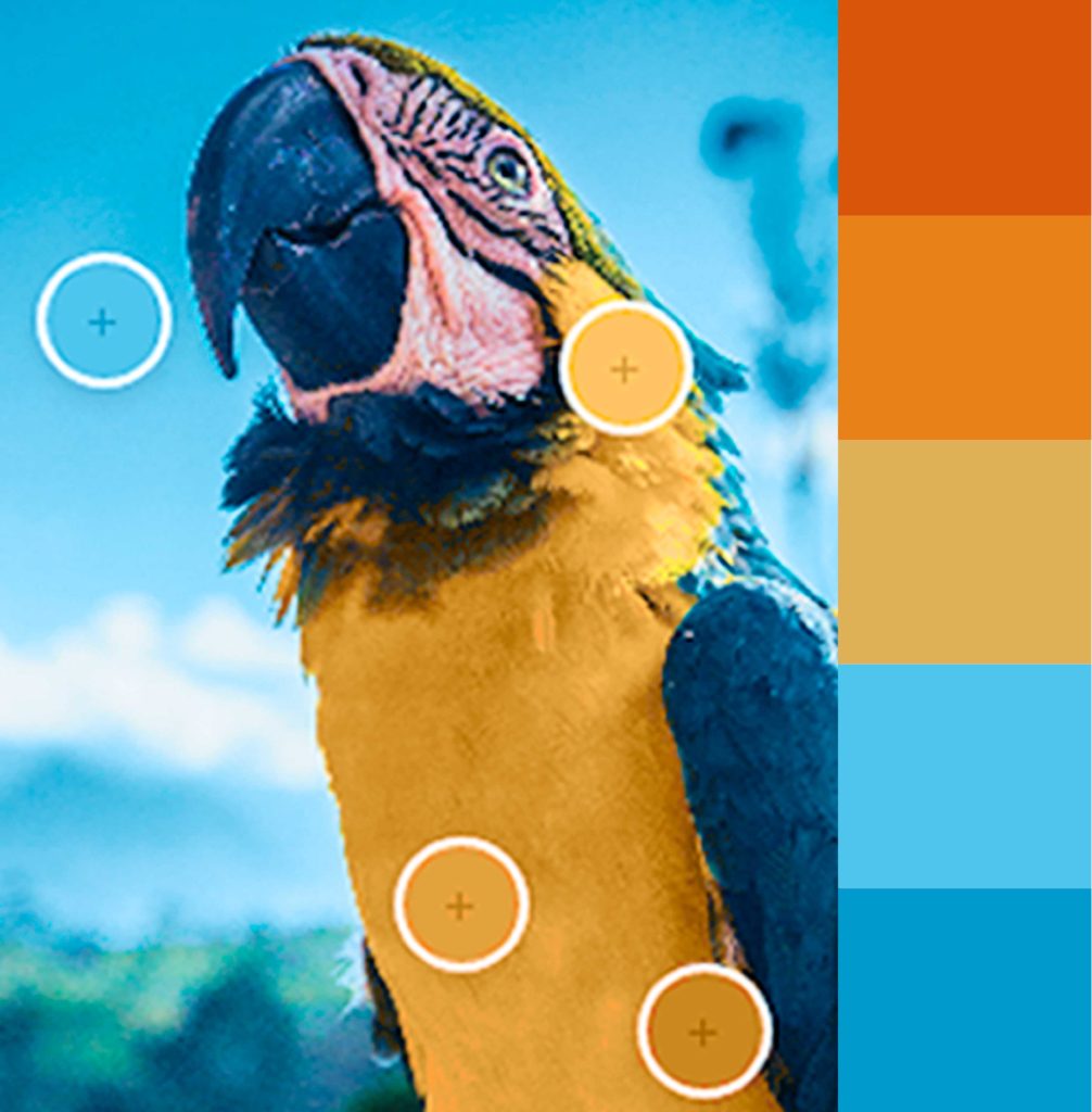 Outdoor Colour Clues for how to pick the perfect colours for your brand - The Template Emporium.