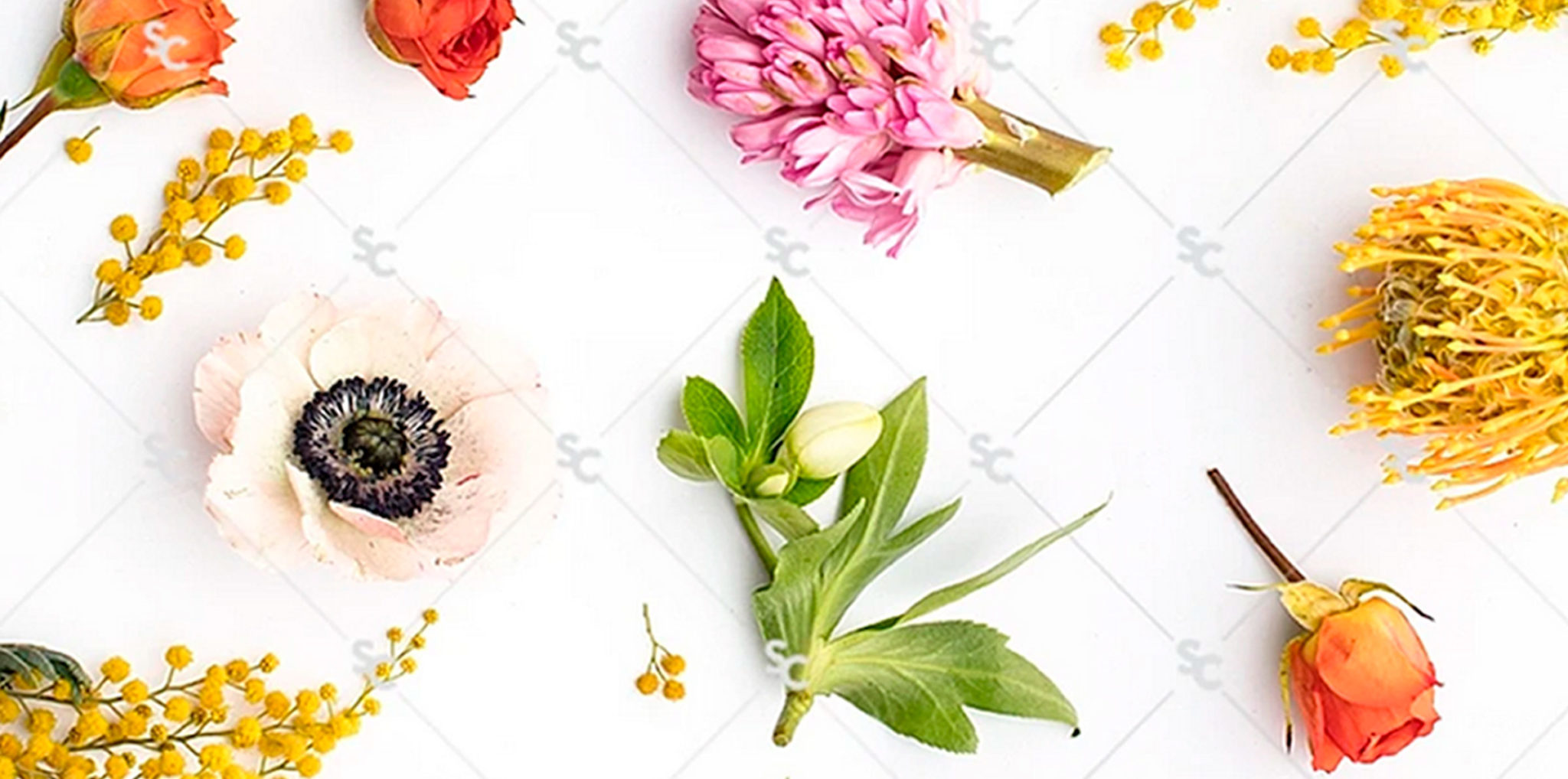 Should I Watermark my Designs?