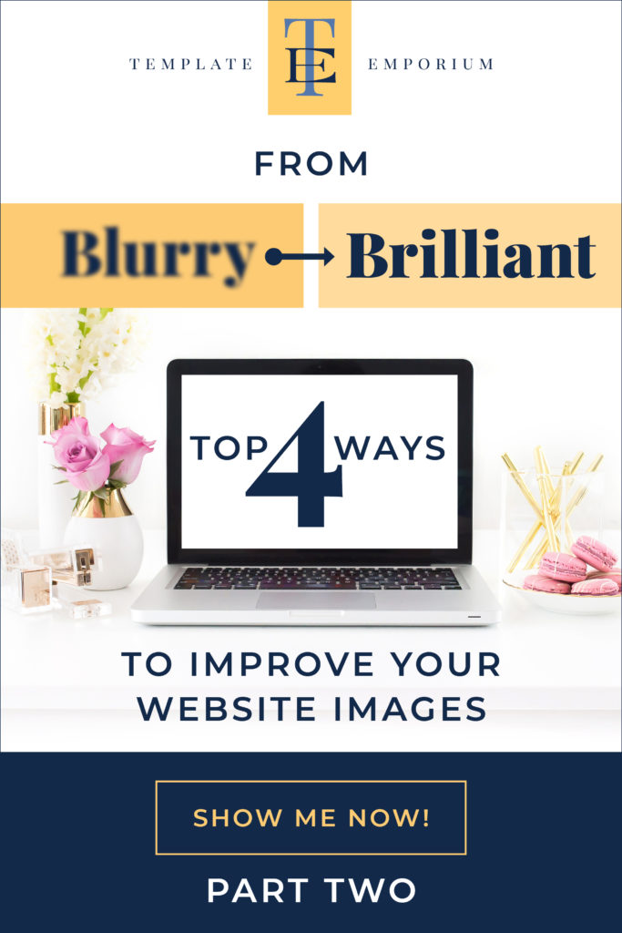 From Blurry to Brilliant - Top 4 ways to improve your website images - Part 2 - The Template Emporium