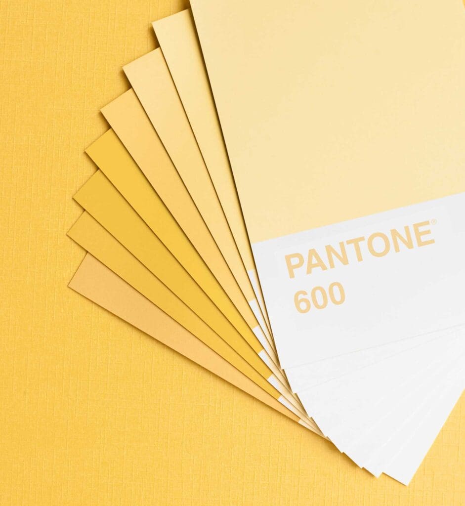 Brand Style Guide for your business - The Template Emporium