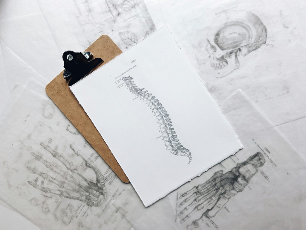 How to barter or trade services with a fellow creative chiropractor - The Template Emporium