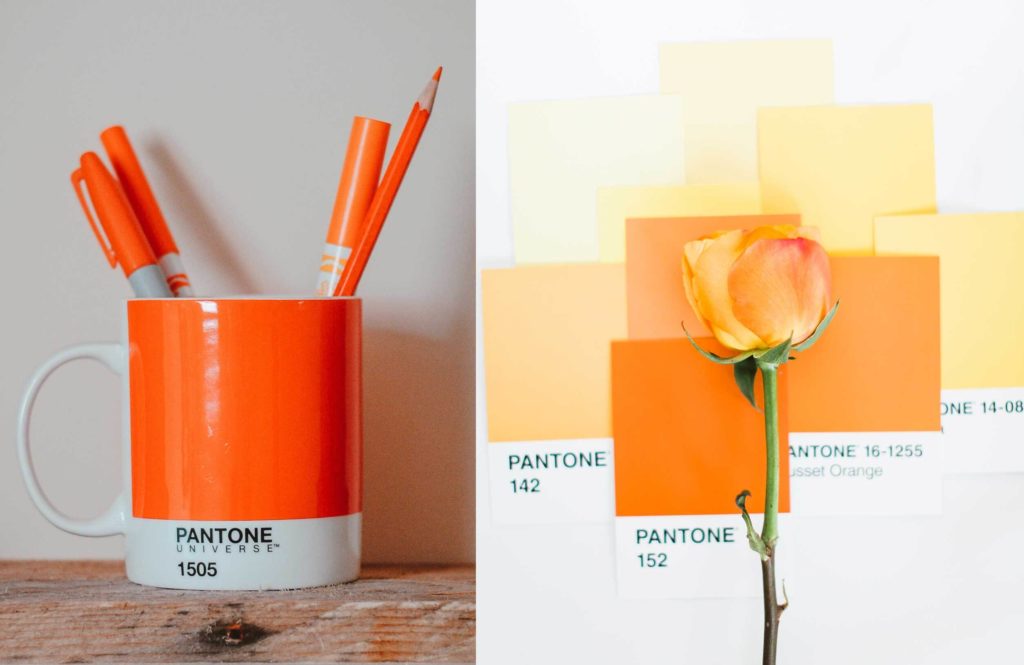 Should I use Orange in my Branding - Orange Pantone Colour - The Template Emporium