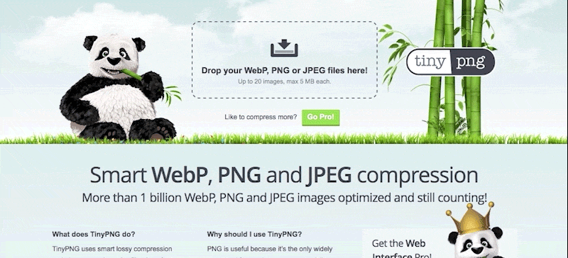 Step-by-step process to reducing image file sizes for the best SEO on your showit website with Tiny png - The Template Emporium