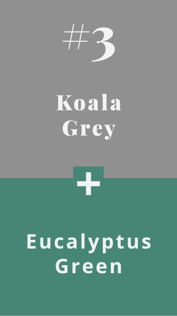A year of holiday colour combinations - Koala Grey + Eucalyptus Green - The Template Emporium