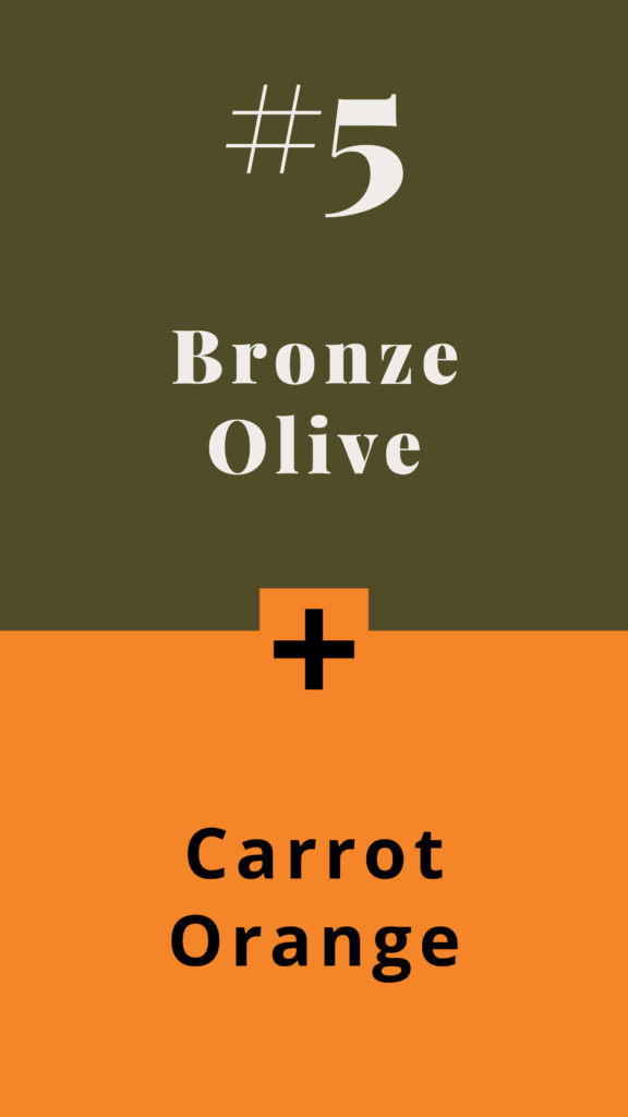 All seasons colour combinations - bronze olive + carrot orange - The Template Emporium