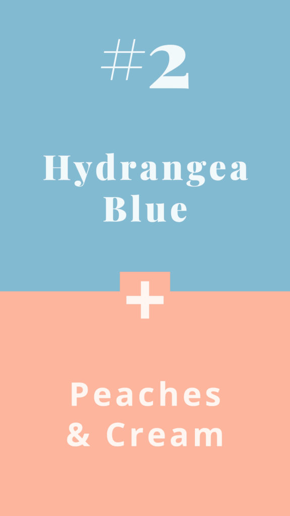 All seasons Colour Combinations - Spring combos - Hydrangea Blue + Peaches & Cream - The Template Emporium