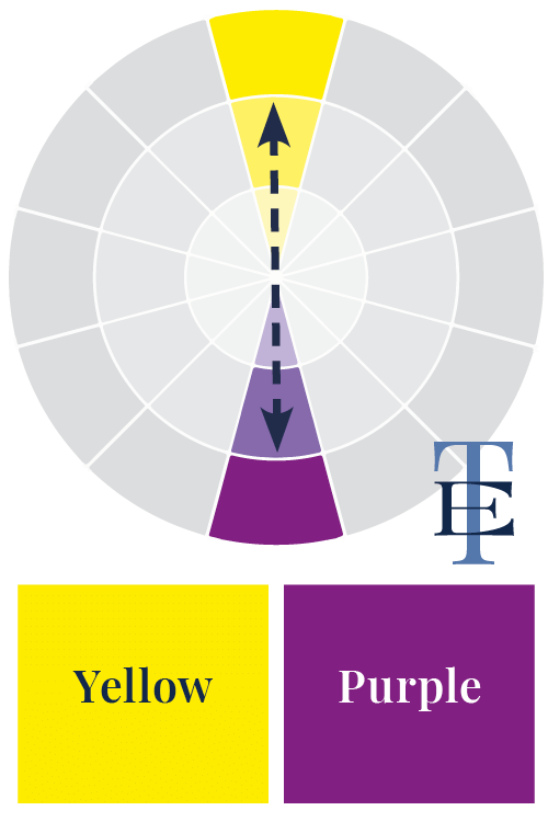 How to use Harmonious Colour Combinations in your Designs - Complimentary Colours - Yellow & Purple - The Template Emporium