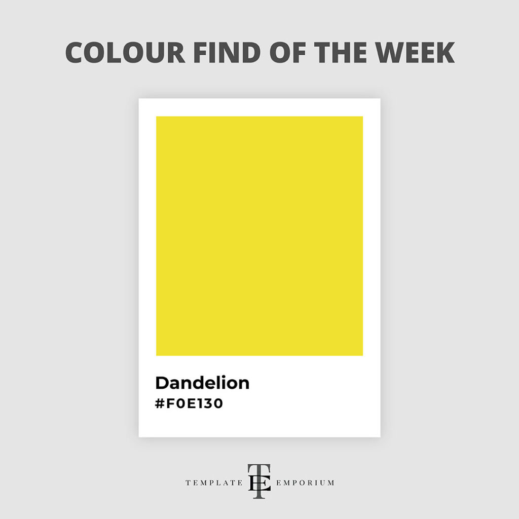 colour find of the week - Dandelion - The Template Emporium