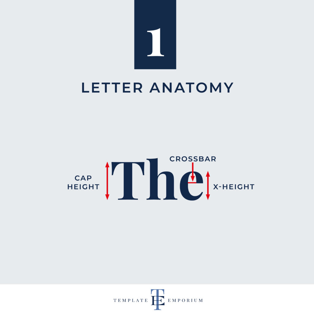 letter anatomy part 1 - The Template Emporium