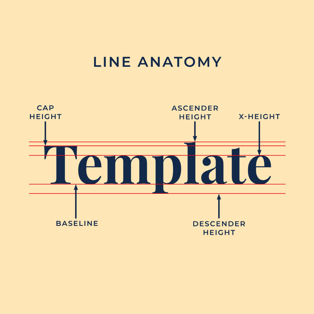 Line Anatomy - The Template Emporium