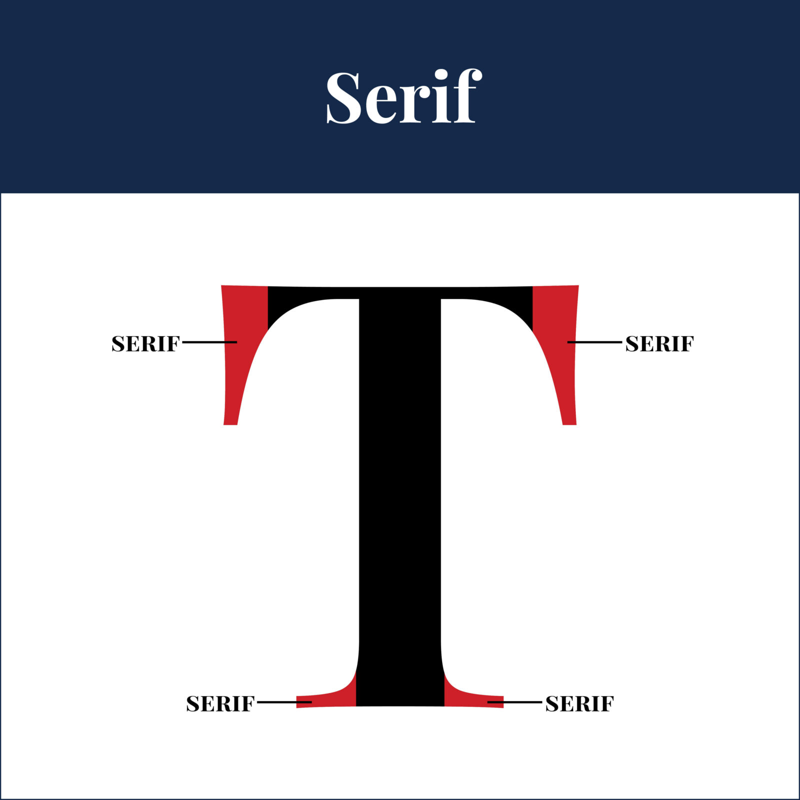 Type Lingo to make you feel like a Pro!