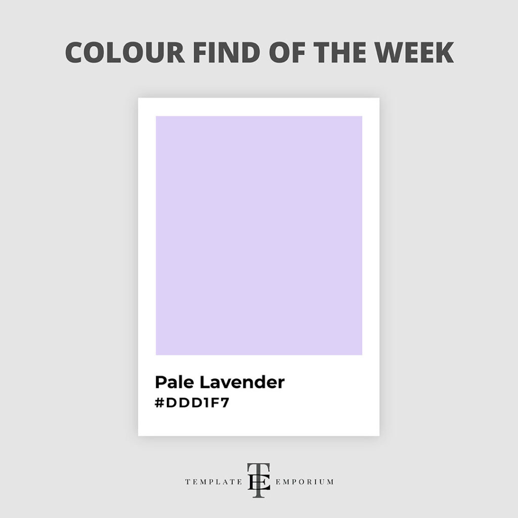 colour find of the week - pale lavender - The Template Emporium