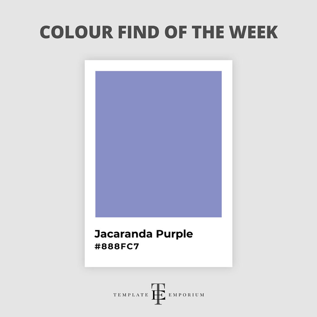 Colour find of the week - Jacaranda Purple - The Template Emporium