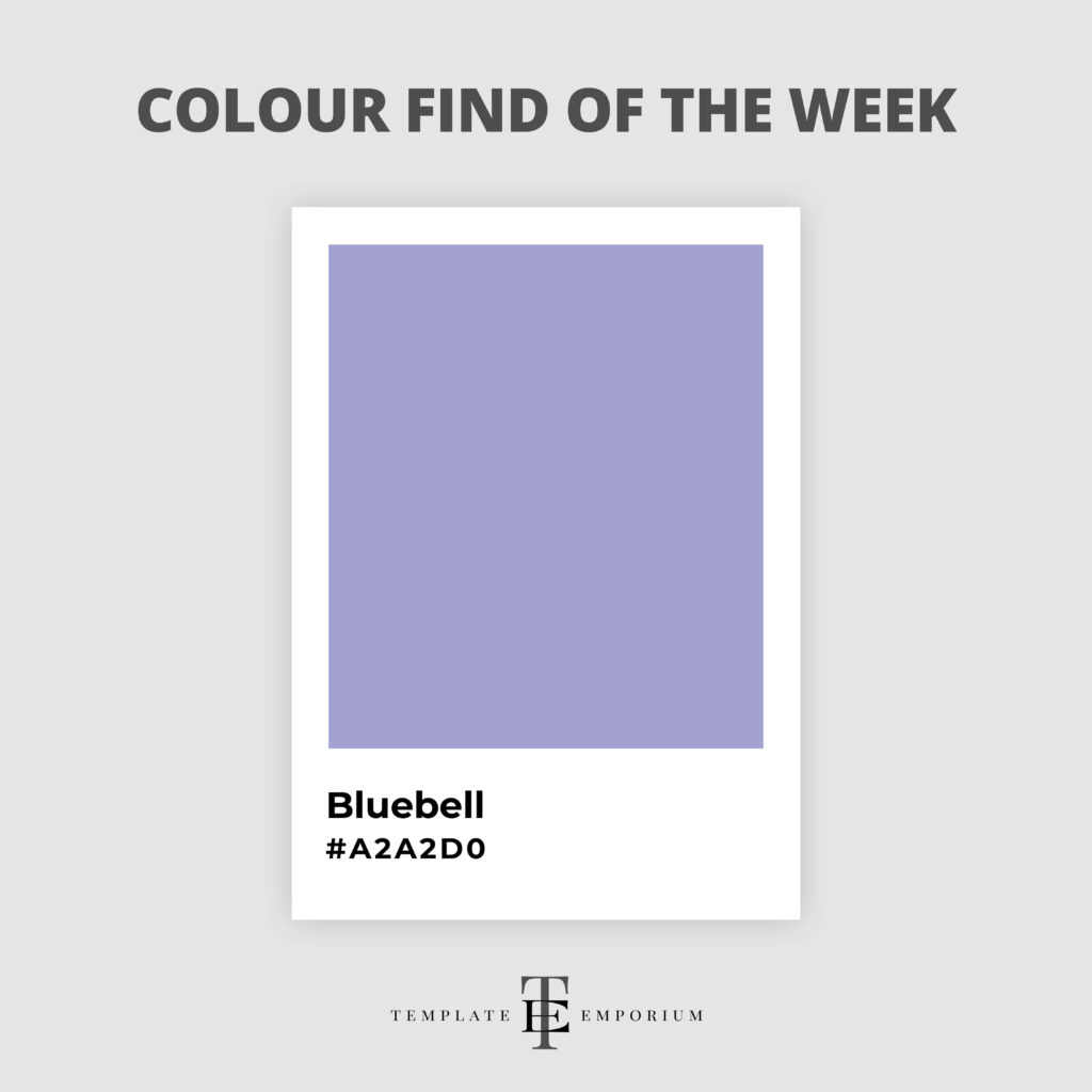colour find of the week - Bluebell - The Template Emporium