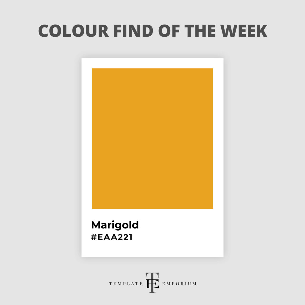 colour find of the week - marigold - The Template Emporium