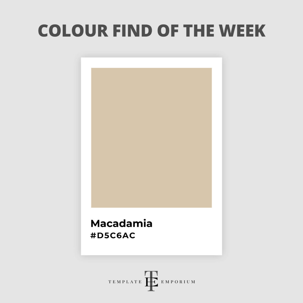 colour find of the week - Macadamia - The Template Emporium