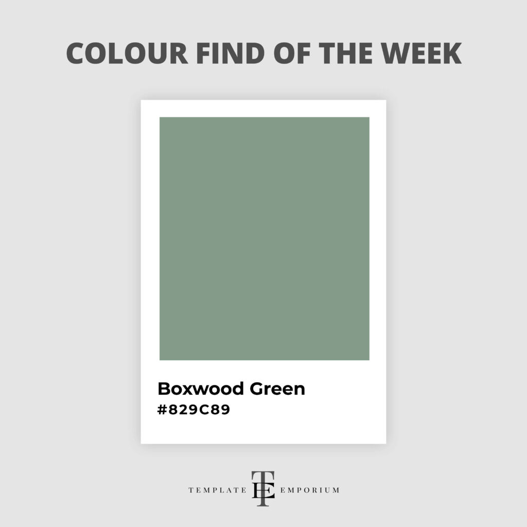 colour find of the week - boxwood green - The Template Emporium