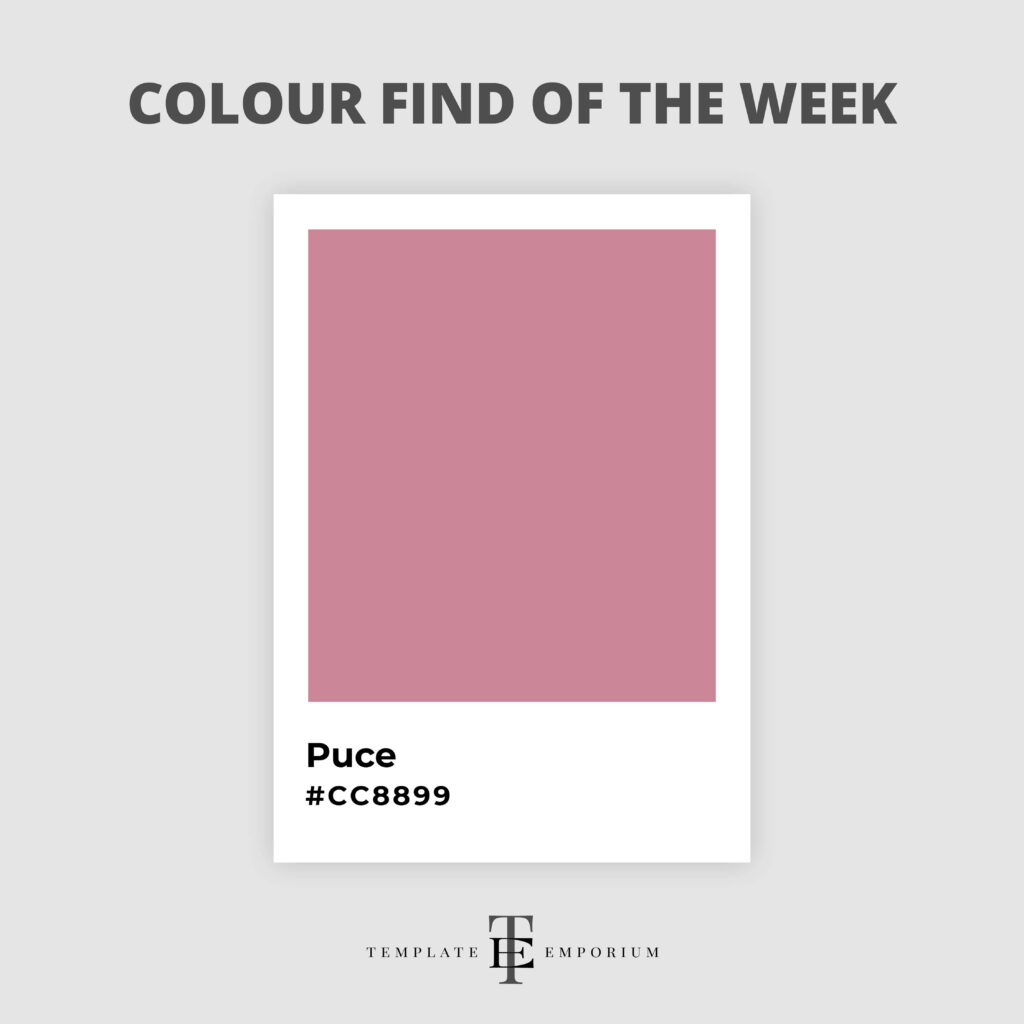 colour find of the week - Puce - The Template Emporium