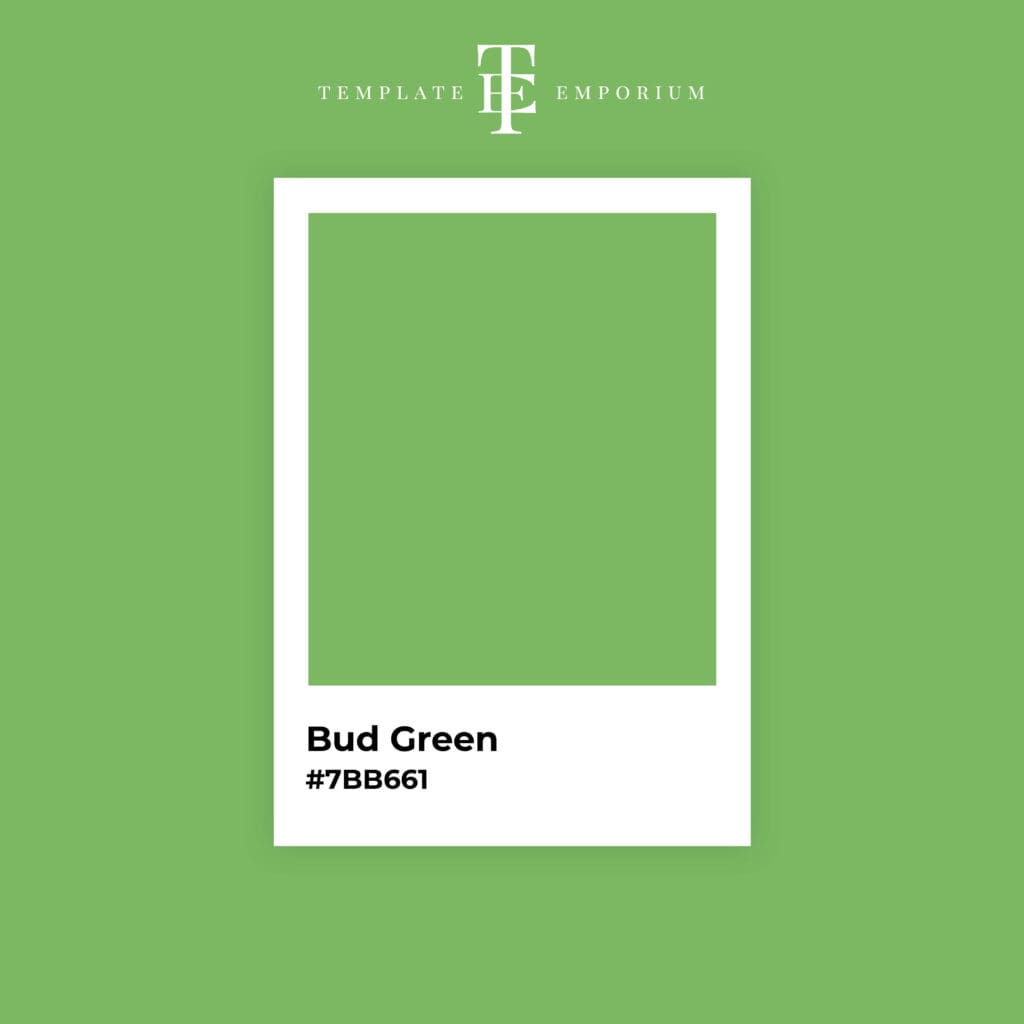 Perfect Green - Bud Green - The Template Emporium